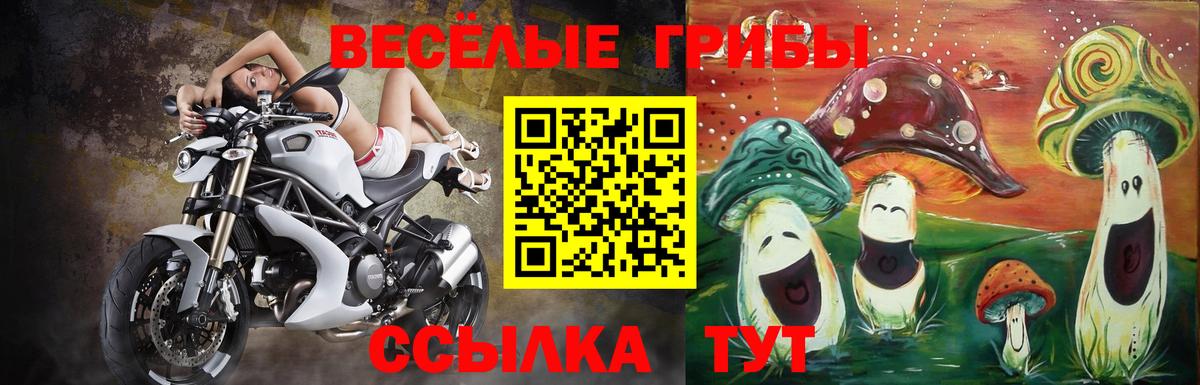 Галлюциногенные грибы Magic Shrooms Видное